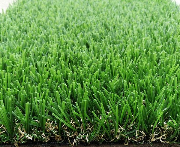 Double S Shape Spring Green