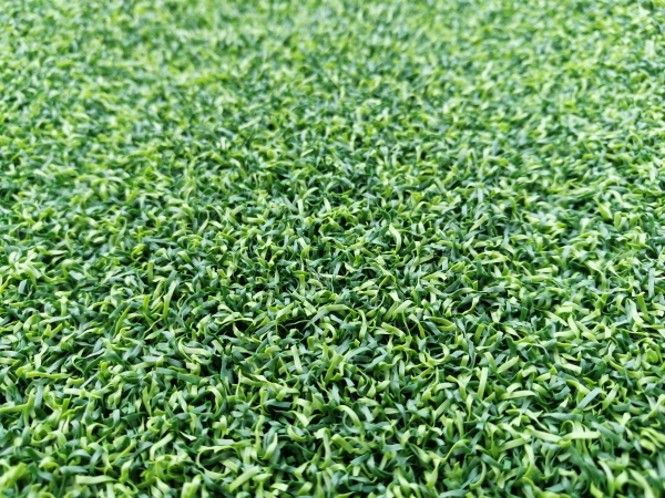 PE Golf Putt-Light Green