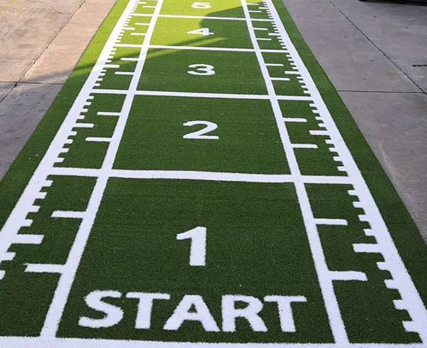 Premium Gym Turf(White Guideline)
