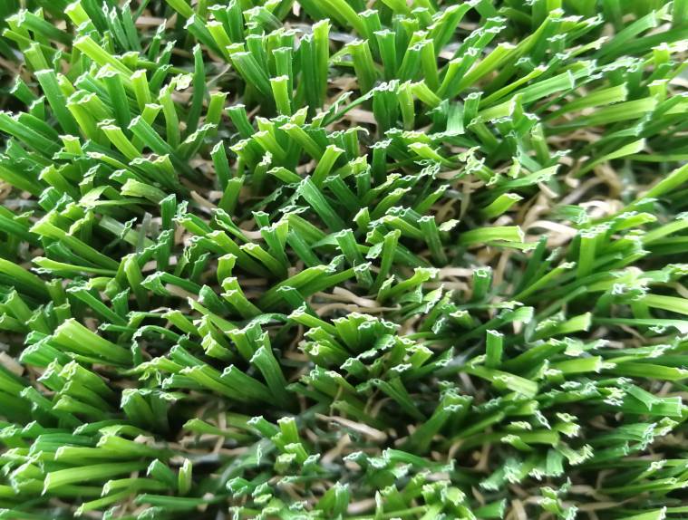 Hollow Shape Cool Grass