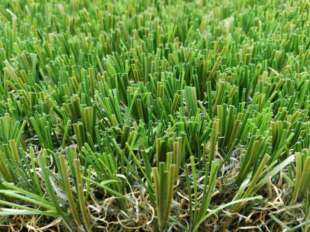 6 Color Grass
