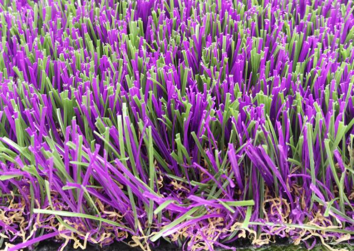 Lavender Grass