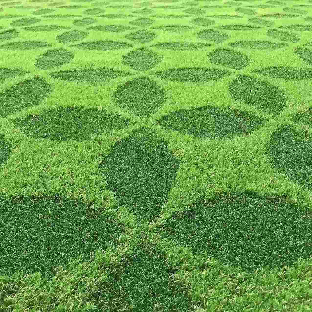 New Pattern Grass