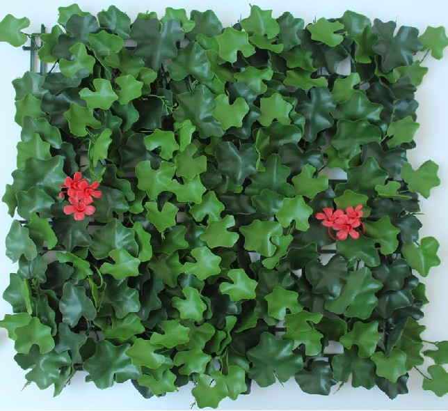 Begonia w/flower