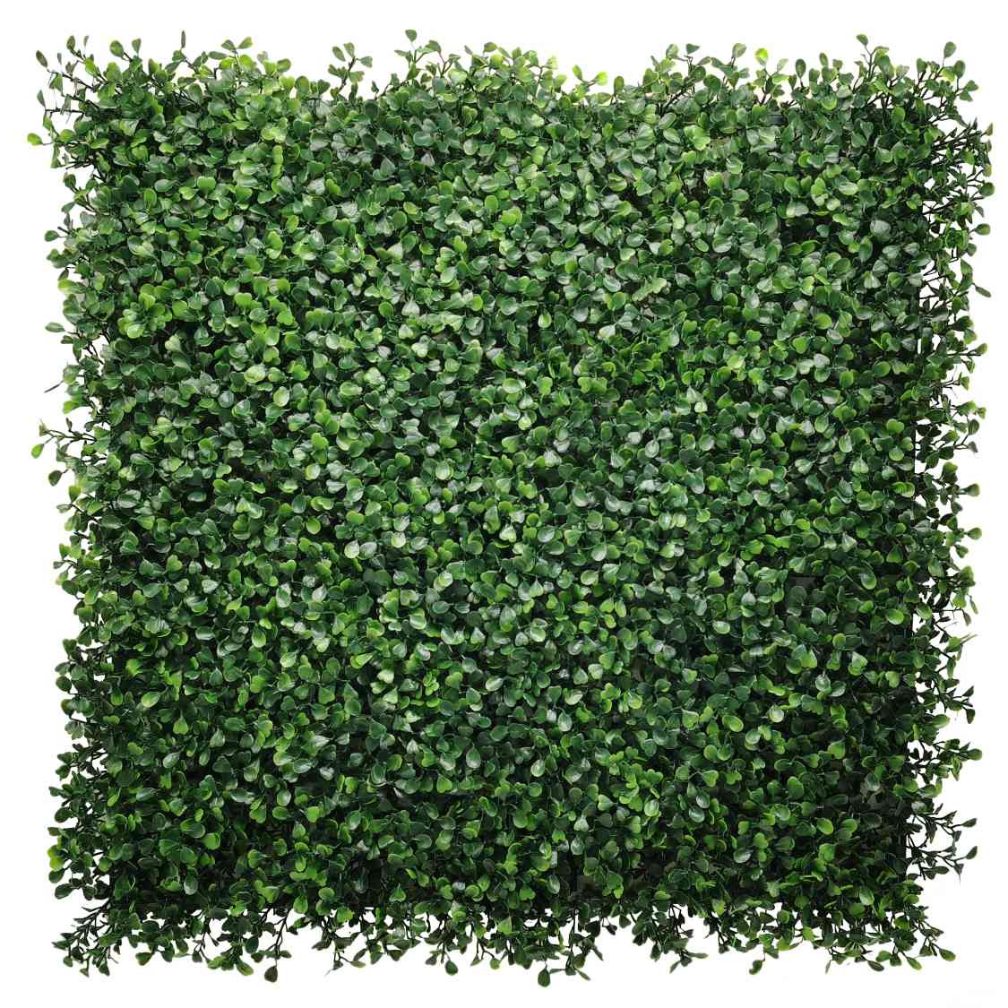 Artificial Ivy