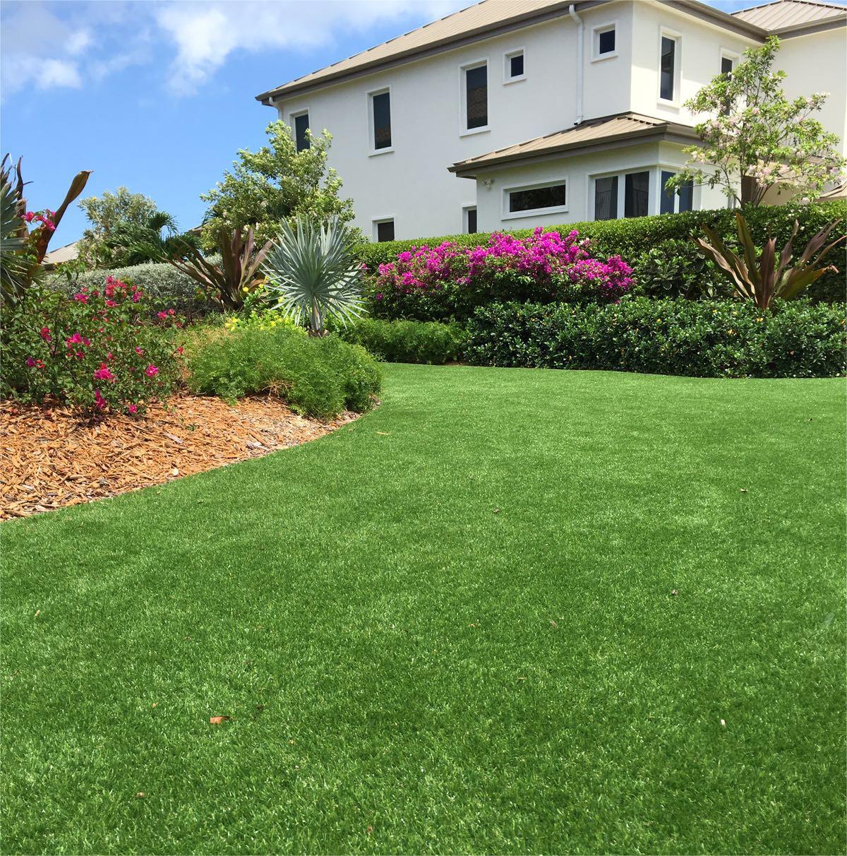 Landscape Grass