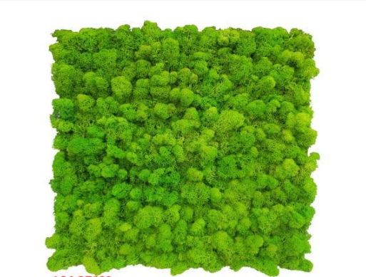 Moss