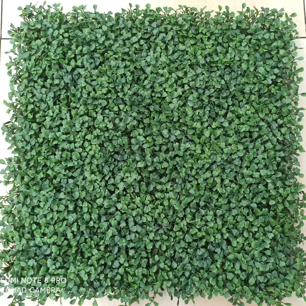 Artificial Ivy
